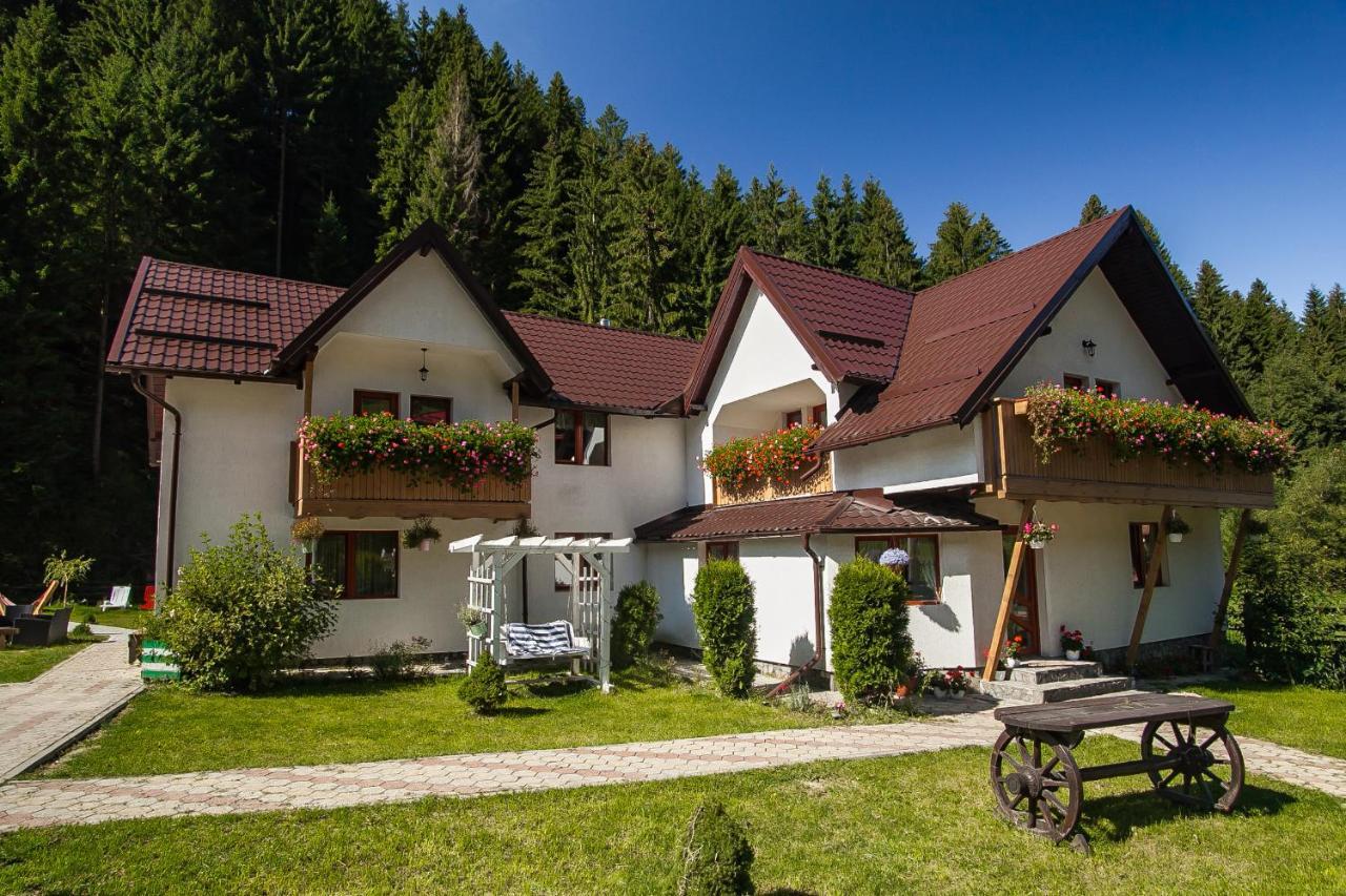 Complex Turistic Luminita Hotell Moeciu De Sus Exteriör bild