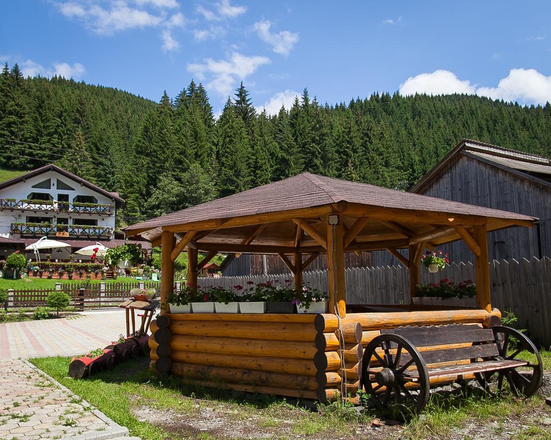 Complex Turistic Luminita Hotell Moeciu De Sus Exteriör bild