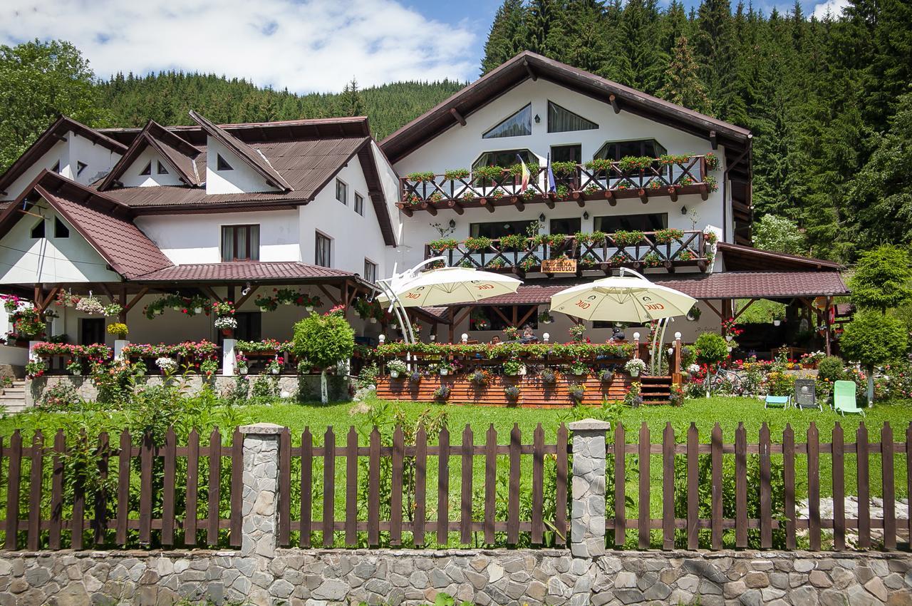 Complex Turistic Luminita Hotell Moeciu De Sus Exteriör bild